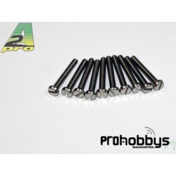 A2P Tornillo Inox.Cabeza Cilindrica M2,5x30mm