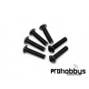  Tornillo boton cabeza allen M 6 x 25MM 6p