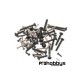Set tornillos Raptor 30-50