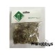 Musgo polar Aedes Ars 25 gr 2404 A