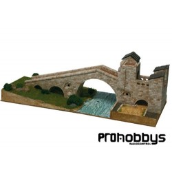 Pont Nou de Camprodón 1/150 aedes ars