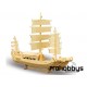 Kit barco Junco de madera Pebaro