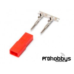 Conector Bec Hembra (2 uds)