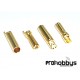 Conector oro 4mm (2 parejas)
