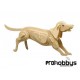 Kit Perro de madera Pebaro
