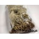 Musgo natural Blanco 25gr Keranova