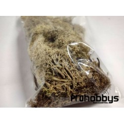 Musgo natural Blanco 25gr Keranova