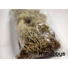 Musgo natural Blanco 25gr Keranova