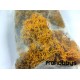 Musgo natural naranja 25gr Keranova