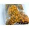 Musgo natural naranja 25gr Keranova