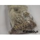 Musgo natural verde medio 25gr Keranova