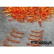 Clips carrocería 1/10 naranja (8uds) (4 dcha. 4 izda) Bittydesign