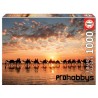Puzle 1000 piezas Atardecer en Cable Beach Educa