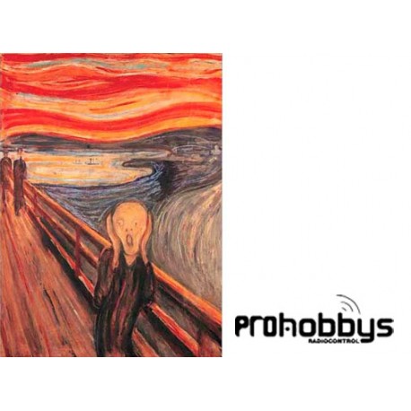 Puzle de 1000 piezas El grito, Edvard Munch Editions Ricordi