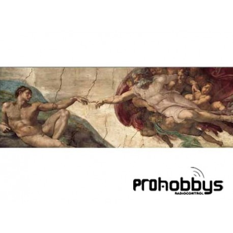 Puzle de 1000 piezas Creación de Adan, Michelangelo Editions Ricordi