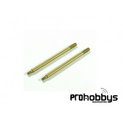 Vástago Amortiguador Trasero 5.5mm