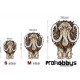 Puzzle Mamut (M) 180 piezas en caja de madera EWA