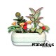 Maceta con Flores 1/12