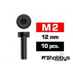 Tornillos M2x12mm Cilíndricos Negros Ultimate Racing (10)