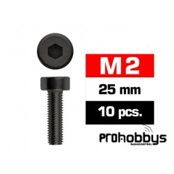 Tornillos M2x25mm Cilindrico (10u.)