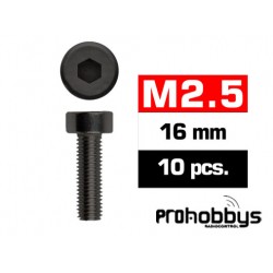 Tornillos M2,5x16mm Cilíndrico (10u.)