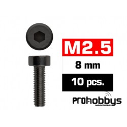 Tornillos M2,5x8mm Cilíndrico (10u.)