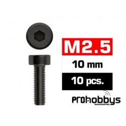 Tornillos M2,5x10mm Cilíndrico (10u.)