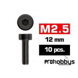 Tornillos M2,5x12mm Cilíndricos (10u.)