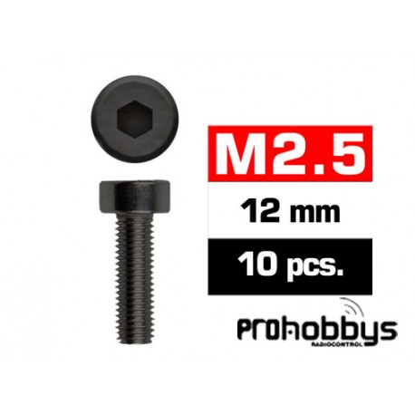 Tornillos M2,5x12mm Cilíndricos (10u.)