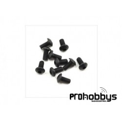Tornillos Cabeza Zeta 2.5X5mm (10 Unid) Sworkz