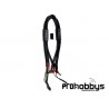Cable de carga 2S ProV2 30cm. XTR