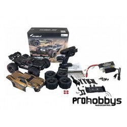 Truggy Hyper Go TRG14-14210 Brushless 1/14