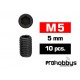 Tornillos M5x5mm Prisioneros (10u)