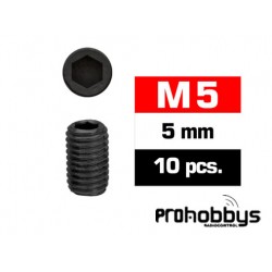 Tornillos M5x5mm Prisioneros (10u)
