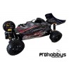 SpeedRacer Nitro Buggy 1:10 4WD DFmodels