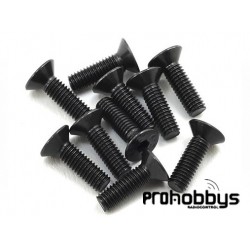 Tornillo 4X6 Cabeza Avellanado 10 UNIDADES