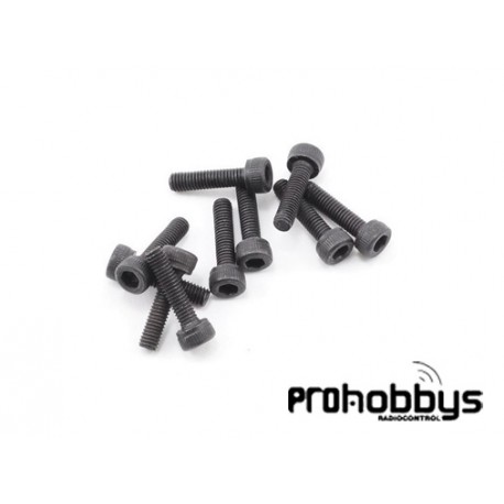 Tornillo 3X10 Cabeza Cílindrica 10UNIDADES